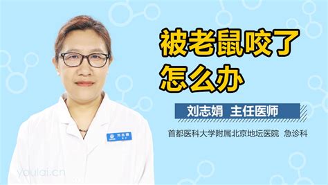 老鼠咬|被老鼠咬了怎么办？这些科学处理方法你知道吗？